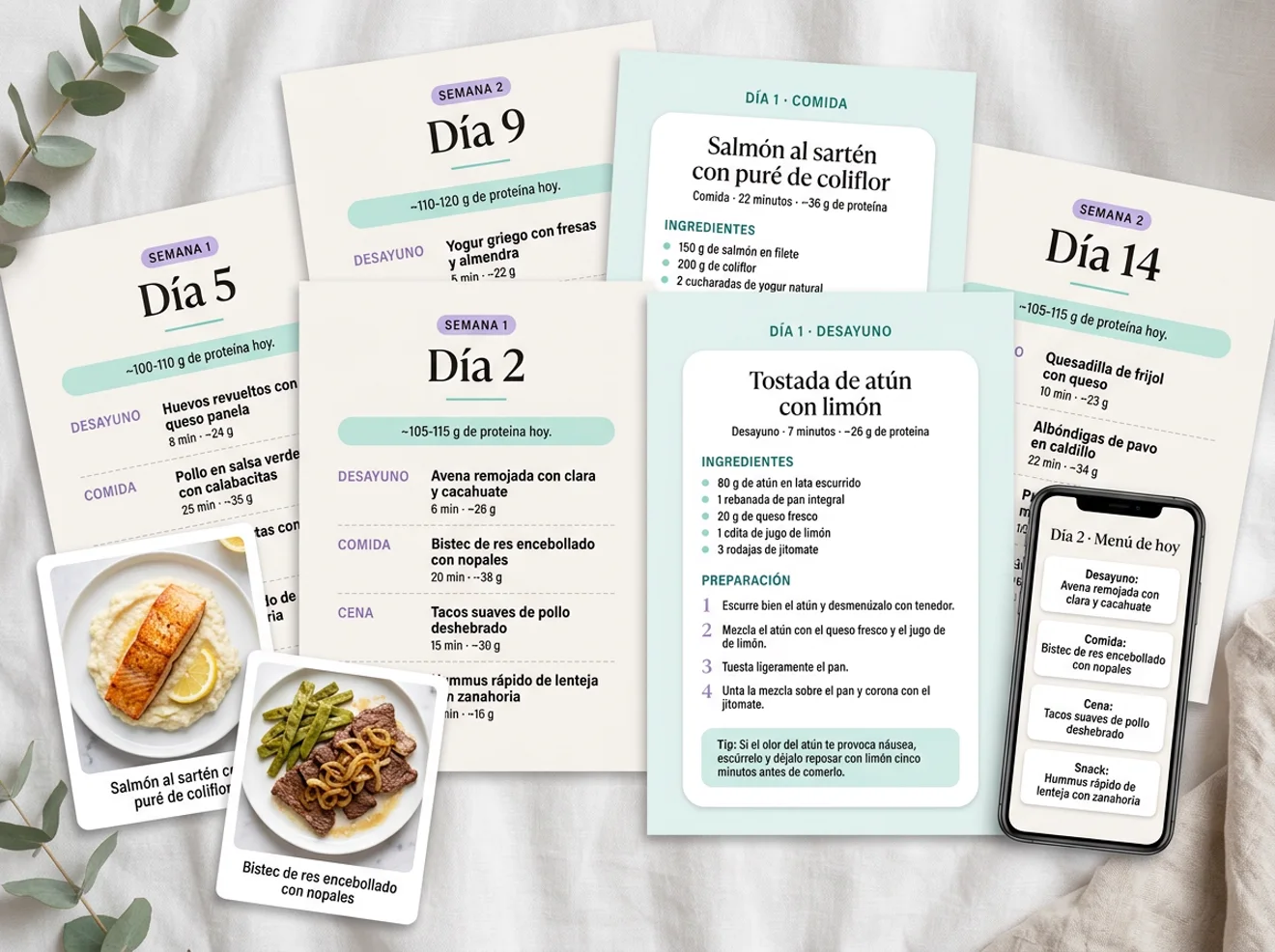 Hojas del plan con los menús del Día 2, 5, 9 y 14, fichas de receta paso a paso y el menú del día en el celular